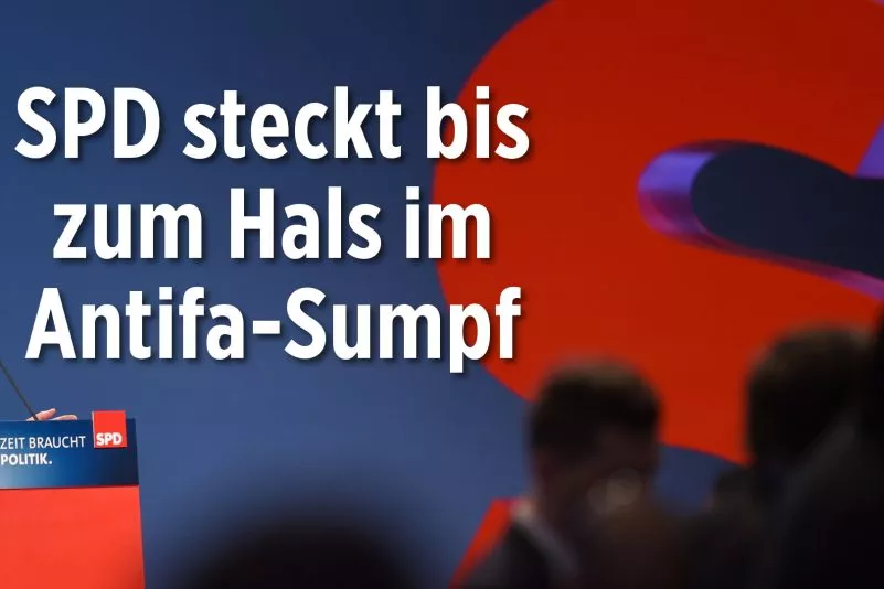top-article-image