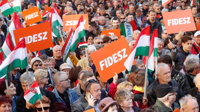 Zwölf Parteien beantragen offiziell Ausschluss von Orbans Fidesz-Partei