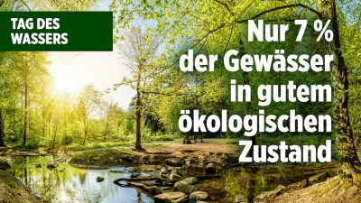 Nur sieben Prozent deutscher Gewässer in gutem ökologischen Zustand, warnt das Umweltbundesamt