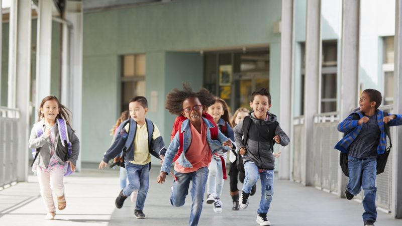 Migration und sinkende Leistungen: Wenn man deutsche Kinder in eine Schulklasse integrieren muss