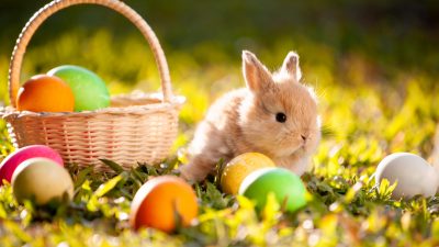 Ostern 2019 und das „Osterparadoxon“: Warum wir Ostern jedes Jahr an einem anderen Tag feiern