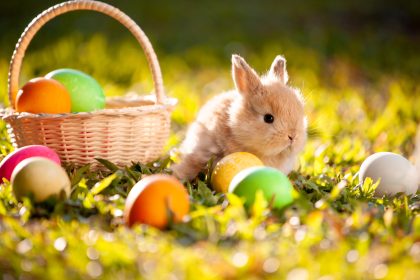 Ostern 2019 und das „Osterparadoxon“: Warum wir Ostern jedes Jahr an einem anderen Tag feiern