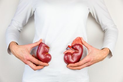 Urteil: Krankenkasse muss nur in Deutschland zulässige Transplantation von Lebend-Organspenden bezahlen