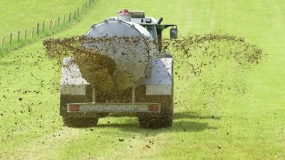 Deutsche Umwelthilfe will Niedersachen und NRW wegen Nitratbelastung verklagen
