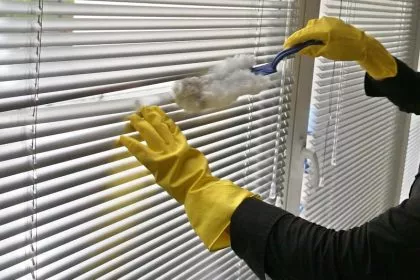 Chemische Keule beim Frühjahrsputz unnötig