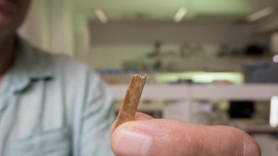 Vermutlich ältestes Tätowier-Werkzeug der Welt kommt aus Tonga