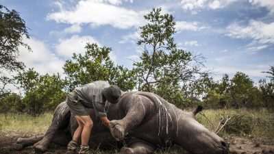 Folter und Mord zur Rettung des Planeten? WWF soll paramilitärische Parkwächter gegen Indigene eingesetzt haben