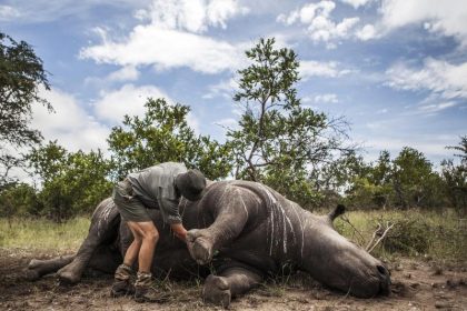 Folter und Mord zur Rettung des Planeten? WWF soll paramilitärische Parkwächter gegen Indigene eingesetzt haben