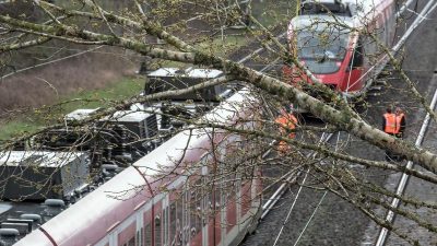 Sturmtief „Mortimer“: ICE rast in umgestürzten Baum