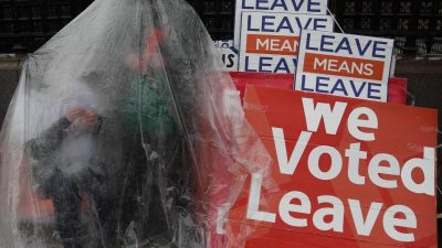 Brexit: Steinmeier hofft auf Austrittsvertrag, Grüne sehen britische Europawahl als Chance