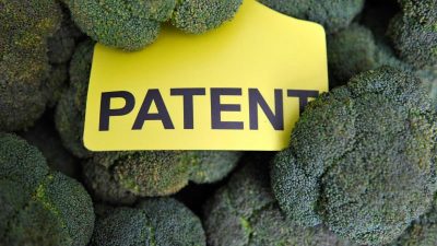 Melone bis Gänseblümchen: Kritik an Patenten auf Züchtung