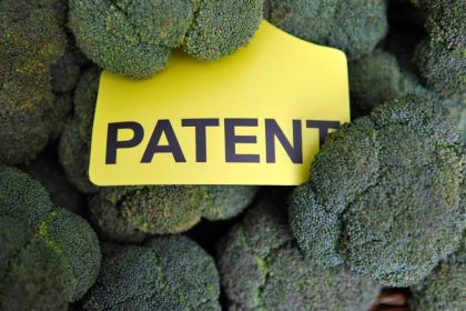 Melone bis Gänseblümchen: Kritik an Patenten auf Züchtung