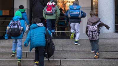 AfD-Lehrermeldeportal in Mecklenburg-Vorpommern verboten – AfD:  „parteipolitisch motivierte Willkürentscheidung“
