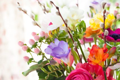 Blumen in der Schule – Von Franz Poppe