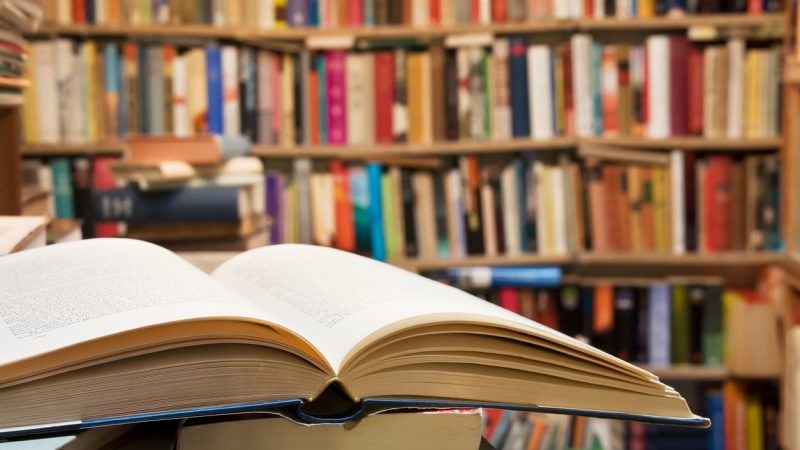 Lotto-Fee Franziska Reichenbacher: Büchereien sind wie Wellness-Oasen