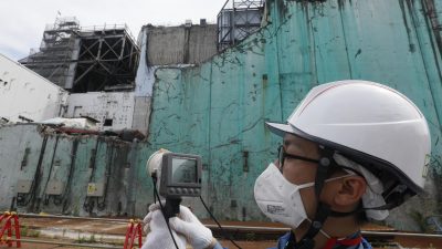Bergung von Brennstäben in Fukushima Kernkraftwerk hat begonnen
