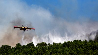 Italien: Studenten lösen Waldbrand beim Grillen aus – 27 Millionen Euro Strafe