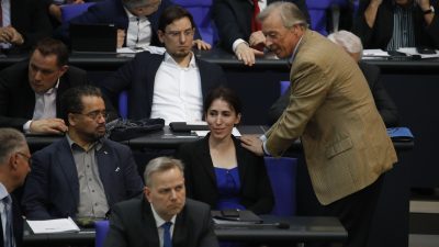 AfD will bereits diese Woche erneut über Bundestags-Vize abstimmen lassen
