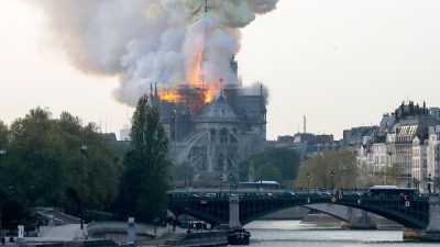 Kritik an Berichterstattung zu Notre-Dame: „Warum muss man CNN einschalten während die ARD Tierfilme zeigt?“