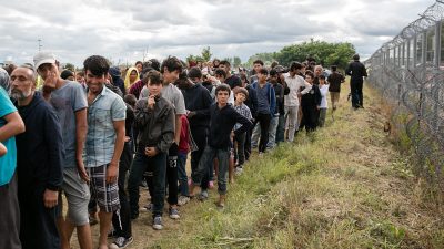 AfD: Orbans Zaun eine „Lebensversicherung für Mitteleuropa“ – Bundestag diskutiert über Humanitäre Hilfe