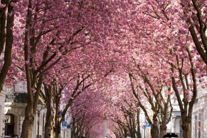 Im Frühling – Von Jean Paul