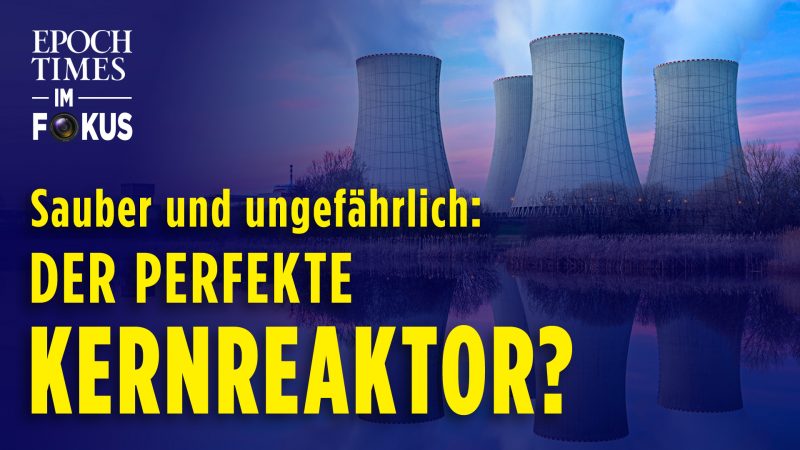 Dual-Fluid-Reaktor: Dieser Kernreaktor ist ungefährlich und grün – CO₂-Problem gelöst? | ET im Fokus