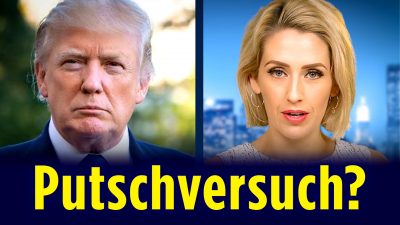 Der Putschversuch gegen Trump | Declassified deutsch