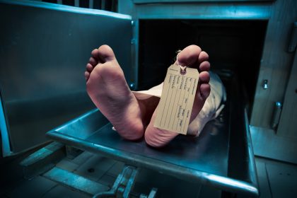 Leichenfund in Hammoor – Staatsanwaltschaft Lübeck hält sich bedeckt
