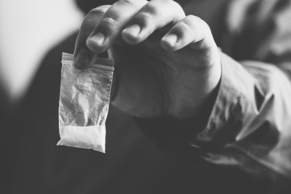 Ermittler und Polizeihund „Yankee“: Drogenganove in Wien geschnappt – 280 Gramm Heroin, 250 Gramm Kokain