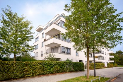 Berlin: Hilferuf wegen Trockenheit – Straßenbäume gießen