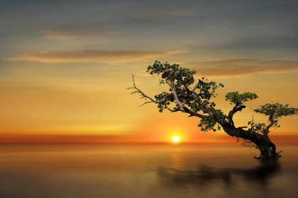 Nenn ich Dich Aufgang oder Untergang … Von Rainer Maria Rilke