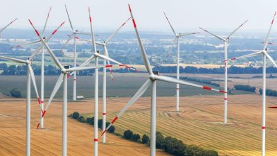 Klagen: Ausbau von Windrädern an Land eingebrochen – Politik will Gegenmaßnahmen