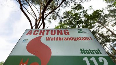 In Brandenburg steigt die Waldbrandgefahr
