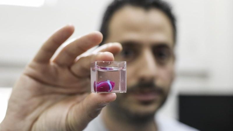 Israelische Forscher drucken Mini-Herz aus menschlichem Gewebe