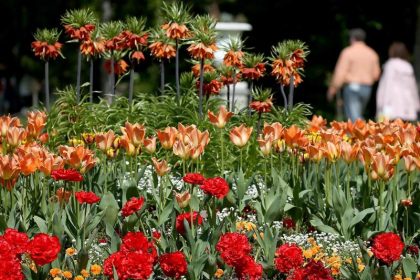 Sonnige Ostern: Hoch “Katharina” beschert fast überall schönes Wetter