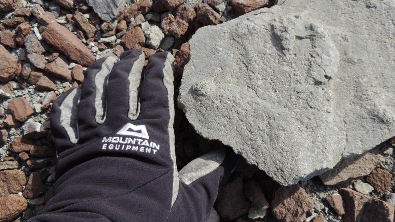 Antarktis-Expedition: 200 Millionen Jahre alter Saurier-Fußabdruck entdeckt