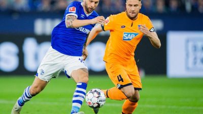 Hoffenheim auf Champions-League-Kurs – Sieg bei Schalke 04