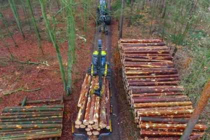Unerfreulich für Förster und Waldbesitzer: Stürme führen zur größten Holzernte seit 2007