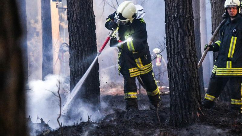 Feuerwehr kämpft seit Tagen gegen Waldbrand in Thüringen – Löscheinsatz auch in Hamburg