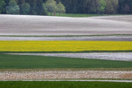 Wetterdienst: “Es müsste eigentlich einmal eine Woche regnen”