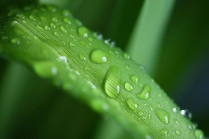 Schnee, Regen und Wind lösen Frühlingswetter ab
