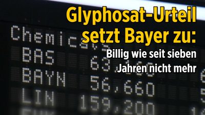 Monsanto „Super-GAU“: Glyphosat-Urteil setzt Bayer zu – Aktie billig wie seit sieben Jahren nicht mehr