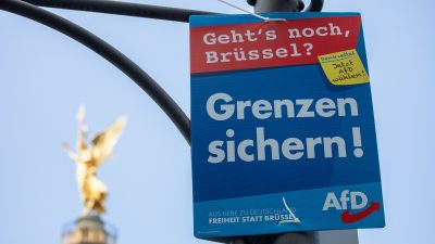 Europawahl: Avaaz veranlasst Sperrung von Facebook-Seiten mit AfD-Werbung