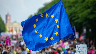 Neue Fraktion „Identität und Demokratie“ im EU-Parlament: Lega, RN, AfD, FPÖ und andere schließen sich zusammen