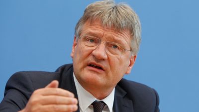 „Spiegel“: Nach Meuthens Spaltungsvorstoß stand Parteiausschlussverfahren im Raum
