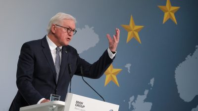 Steinmeier: Die negativen Einstellungen zur Demokratie „bringen mich auf die Palme“