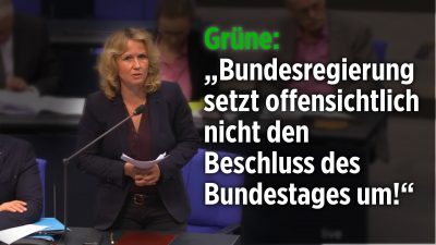 Grüne: „Bundesregierung setzt offensichtlich nicht den Beschluss des Bundestages um!“