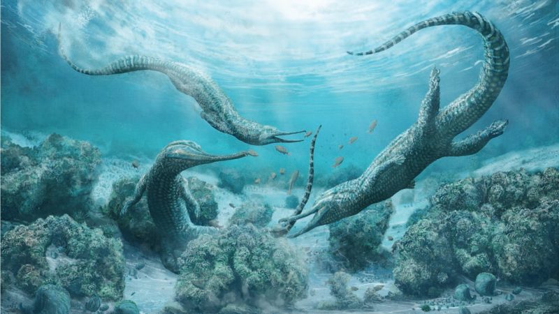 Fossilien von VW-Käfer-großen Krokodil-artigen „Meeresmonstern“ in den Alpen gefunden