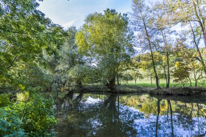 Mädchenleiche im Fluss: Polizei geht von vermisster 13-Jähriger aus Tauberbischofsheim aus