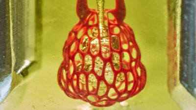 Blutgefäße und Luftwege aus dem 3D-Drucker